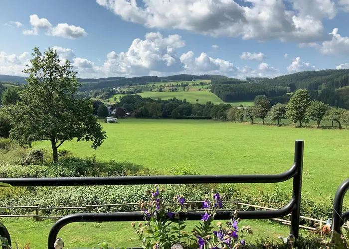 Lägenhet Hillside Gemuetliches Mit Aussicht! - Balkon Winterberg